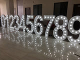 Custom 4ft RGB Giant Marquee Letter Marry Me Proposal Sign with Dimmable Lights for Wedding Birthday Outdoor Ceremony Decor